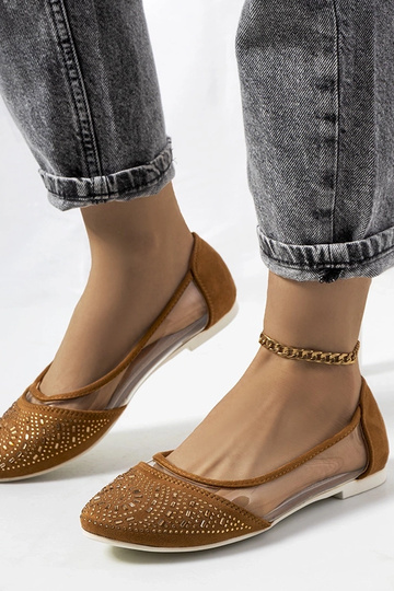 Pruunid poolläbipaistvad...