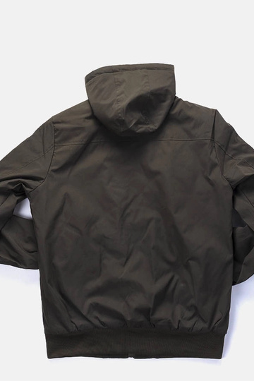 Roheline meeste Duplessis... 2