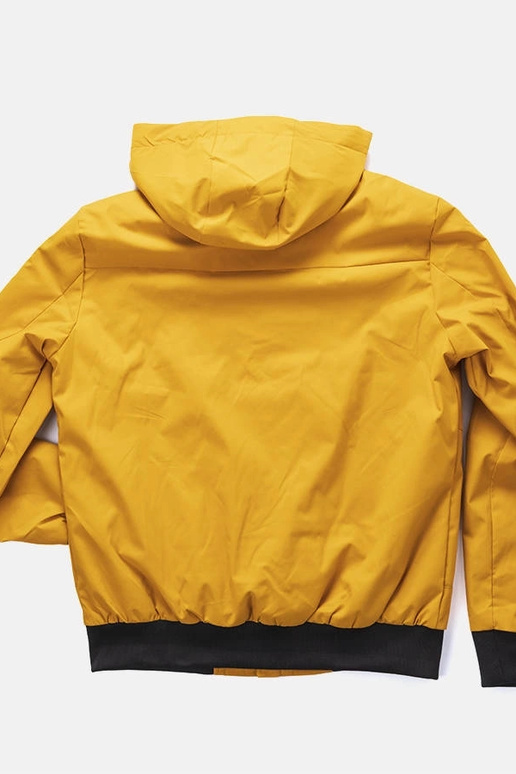 Kollane meeste Tollmache üleminekujope