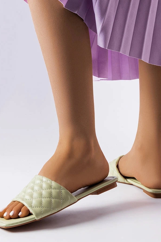 Rohelised elegantsed Labrie tepitud...