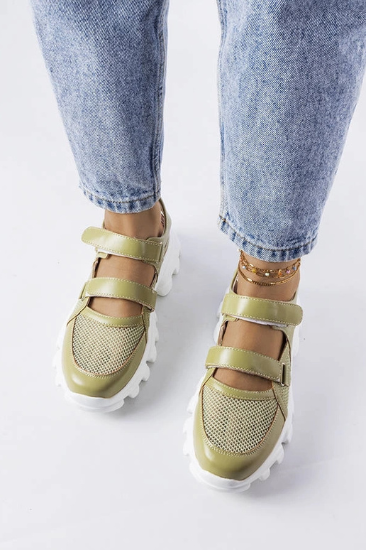 Rohelised tossud massiivse Djursi... Rohelised tossud massiivse Djursi...