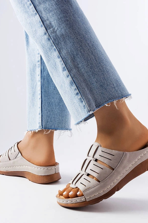 Hallid kampsunist kiilud