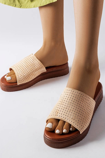 Liivakarva sussid aedadega... 2