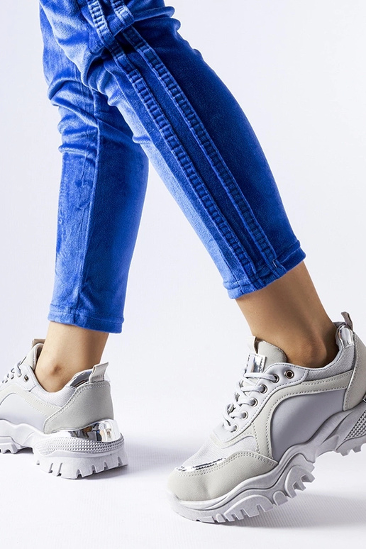 Lodgeville'i hallid hõbedase... Lodgeville'i hallid hõbedase...