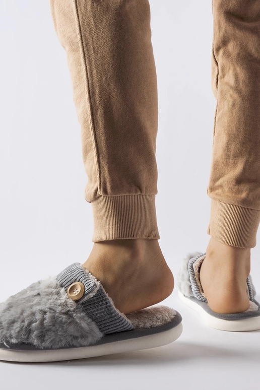 Lakelandi hallid isoleeritud sussid