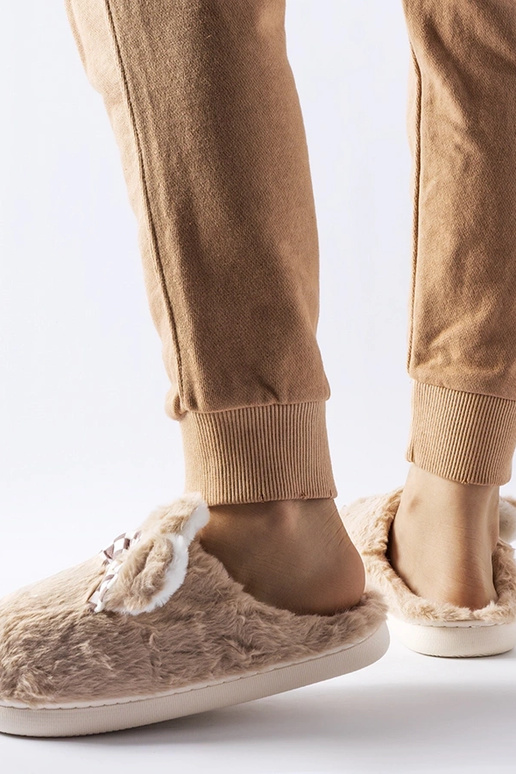 Beežid isoleeritud naiste kõrvadega...