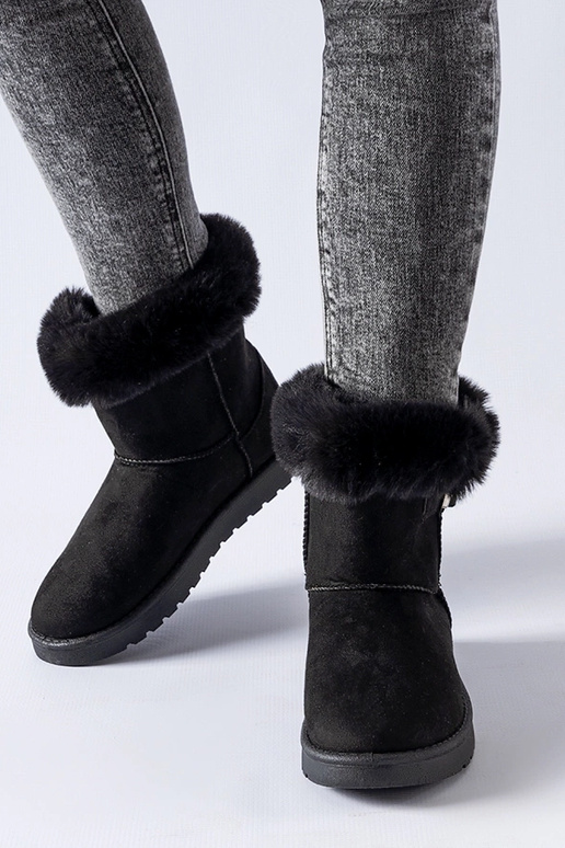 Musta karva voodriga Borgorato...