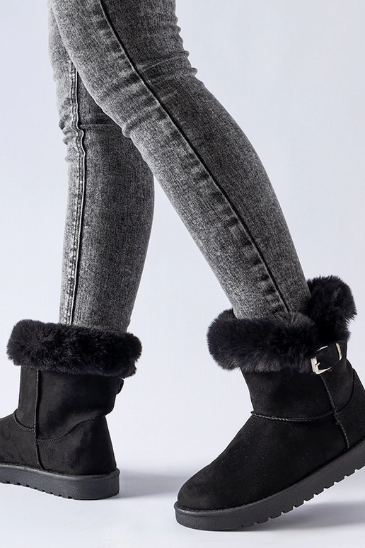 Musta karva voodriga Borgorato...