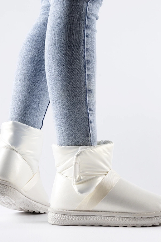 Delaune beežid läikivad lühikesed...