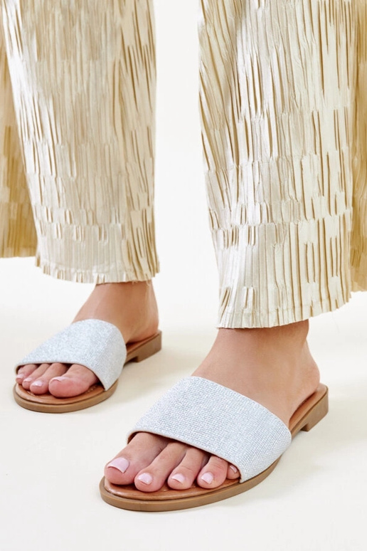 Hõbedaselt läikivad Anilsa plätud