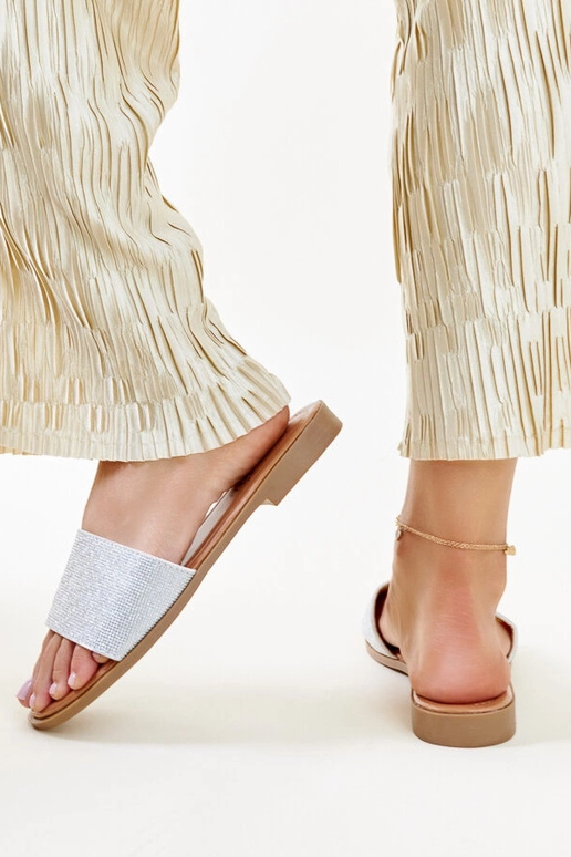 Hõbedaselt läikivad Anilsa plätud