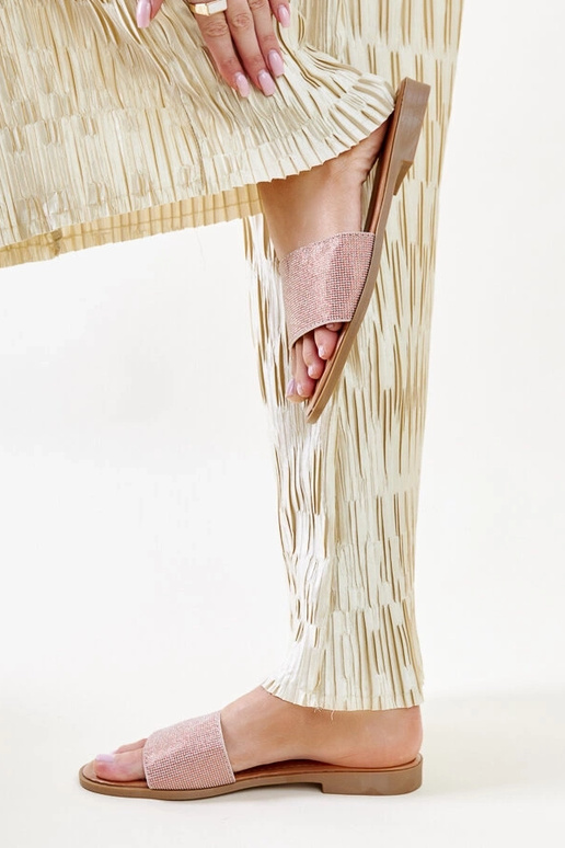 Anilsa pruunid läikivad plätud