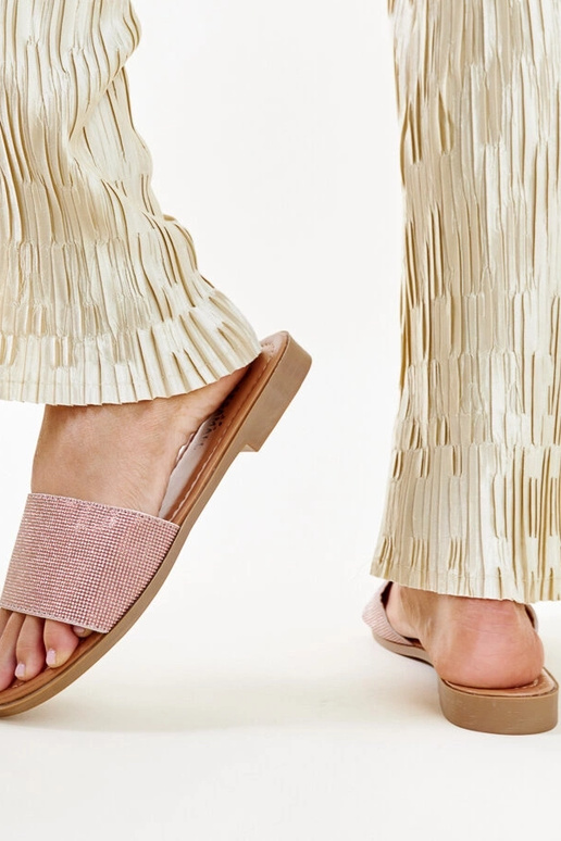 Anilsa pruunid läikivad plätud