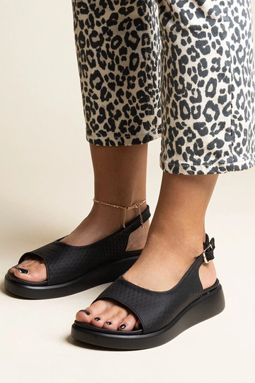 Hamonda mustad paksema... 2