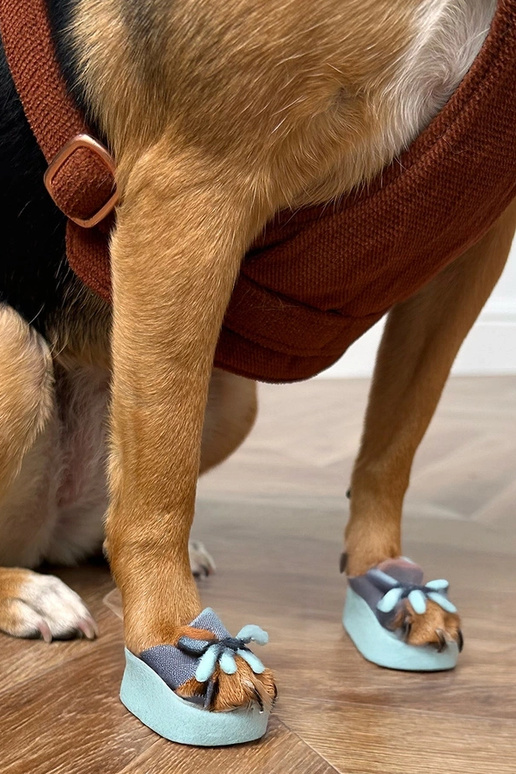 Roosad sussid pandlitega korkpõhjal...