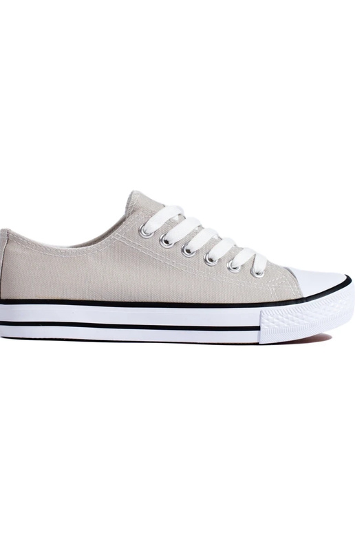 Naiste saapad  halli värvi Shelovet