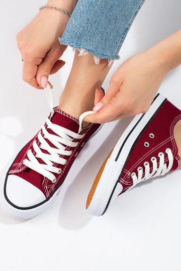 Klassikalise mudeli... 2