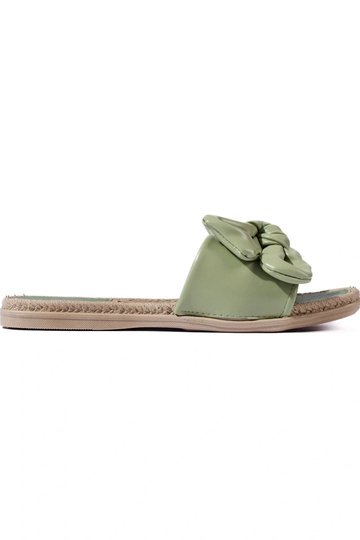 Sussid   Shelovet roheline