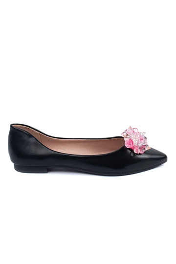 Baleriinad   Shelovet Mustad