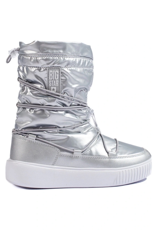 Pealiste omad isoleeritud hõbedane...