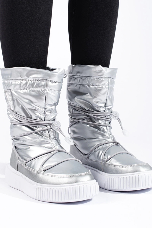 Pealiste omad isoleeritud hõbedane...