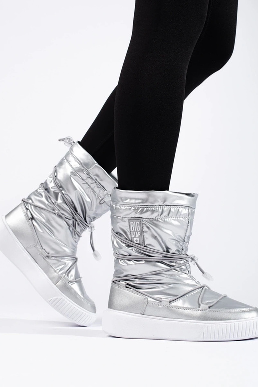 Pealiste omad isoleeritud hõbedane...