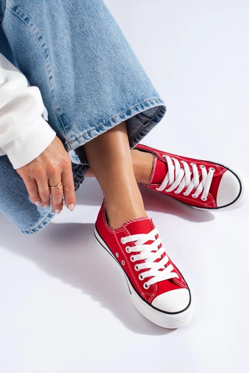 runased  kingad Shelovet 2