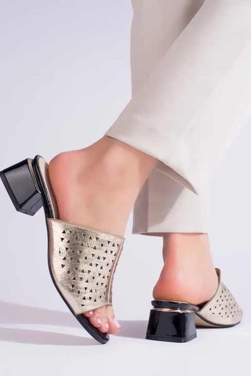 Kuldset värvi  plätud   Shelovet