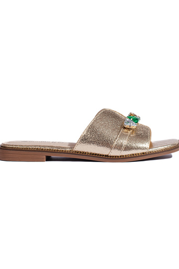 Kuldset värvi plätud