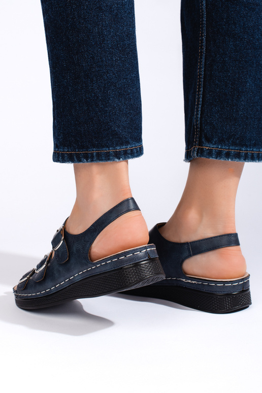 Sinist värvi kingad Sinist värvi kingad