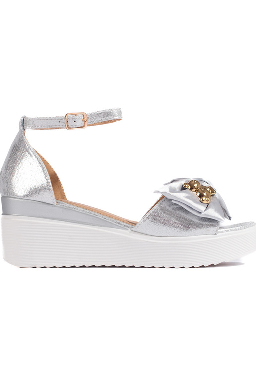 Hõbedat värvi  kingad Hõbedat värvi  kingad