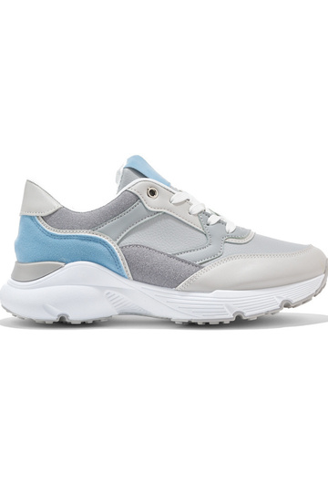 Pealiste omad sinine...