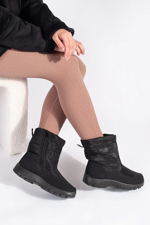 msuud mugav isoleeritud śniegosissee...