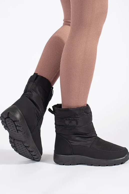 msuud mugav isoleeritud śniegosissee...