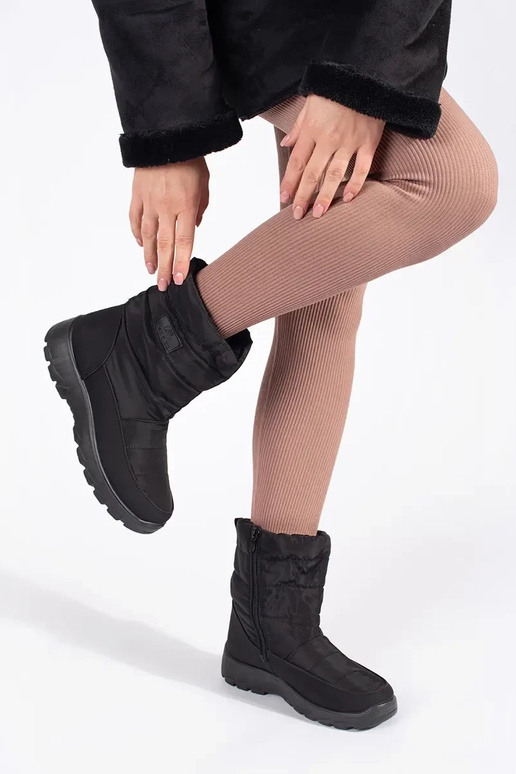 msuud mugav isoleeritud śniegosissee...