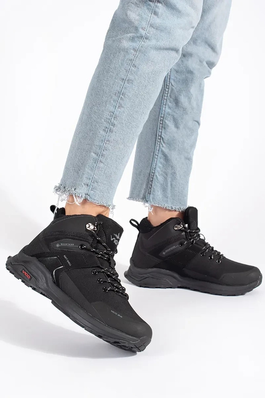 msuud isoleeritud Sellel ontkajalatsid msuud isoleeritud Sellel ontkajalatsid