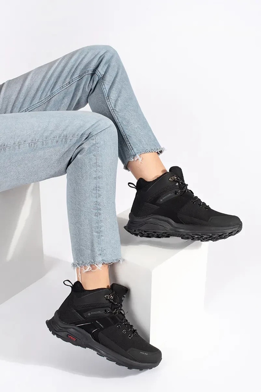 msuud isoleeritud Sellel ontkajalatsid msuud isoleeritud Sellel ontkajalatsid