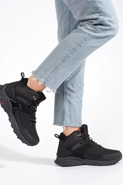 msuud isoleeritud Sellel ontkajalatsid msuud isoleeritud Sellel ontkajalatsid