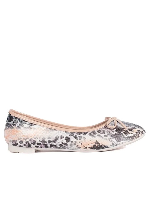 Baleriinad tasane naiste omad sisse...