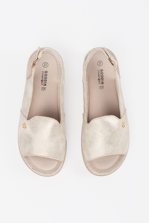 KULLA VÄRVI MADALAD KINGAD