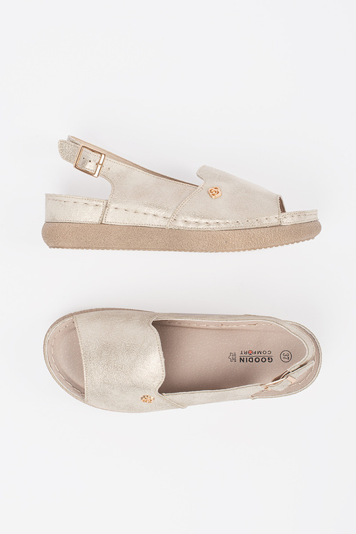 KULLA VÄRVI MADALAD KINGAD