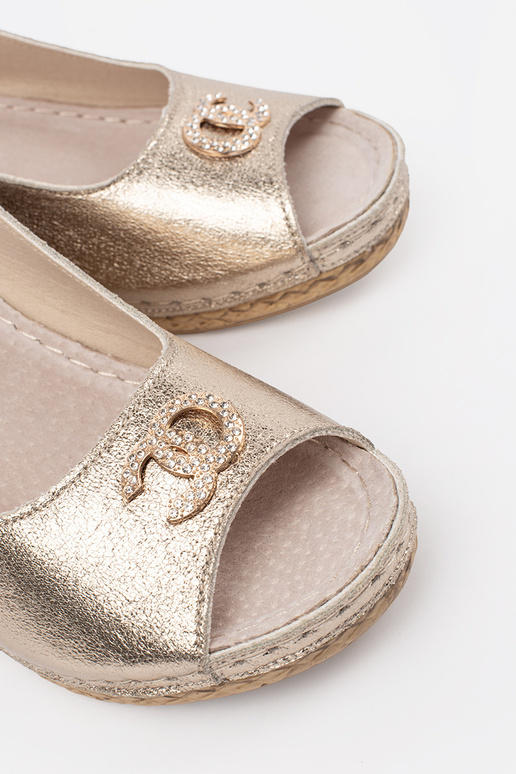 KULLA VÄRVI PLEISIKONDADEGA