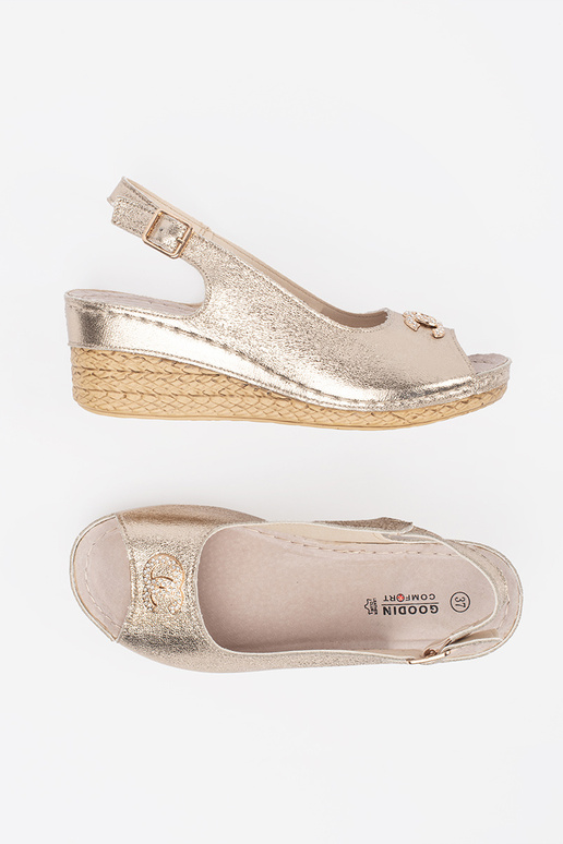 KULLA VÄRVI PLEISIKONDADEGA