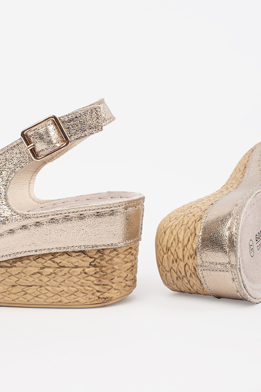 KULLA VÄRVI PLEISIKONDADEGA