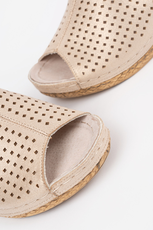 Kuldseid plätusid kontsaga Kuldseid plätusid kontsaga