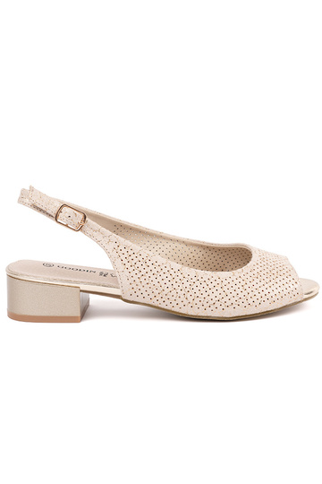 elevandiluust värvi avatud...