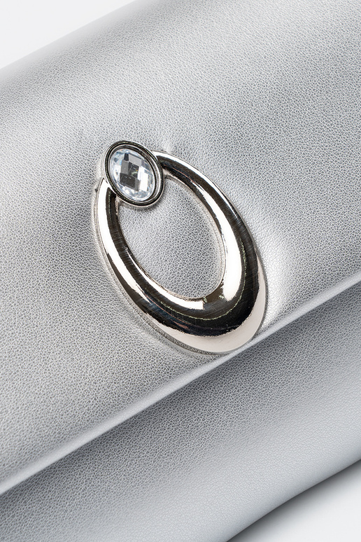 Kott hõbedase värviga