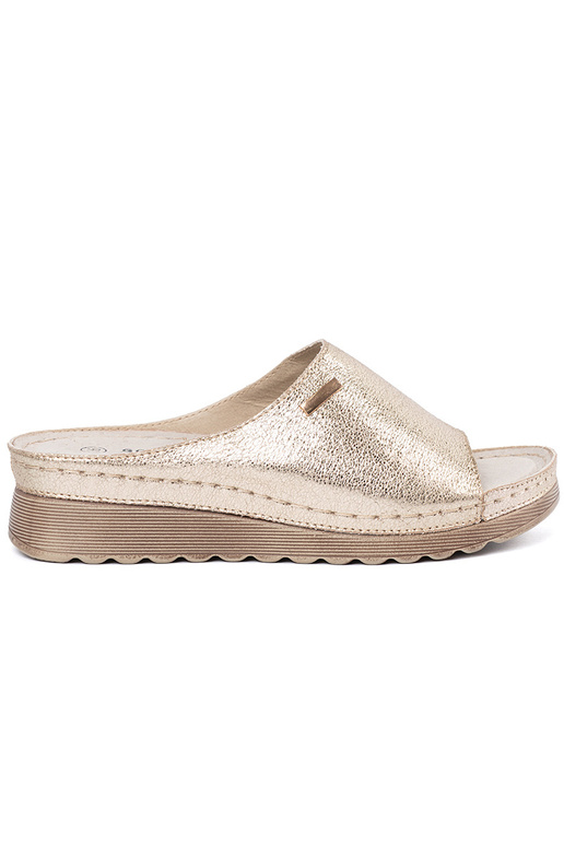 Elevandiluust värvi rannakott