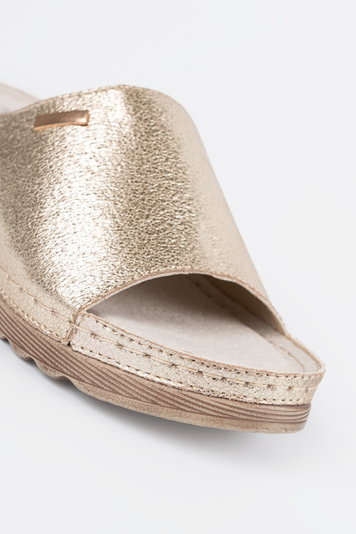 Elevandiluust värvi rannakott