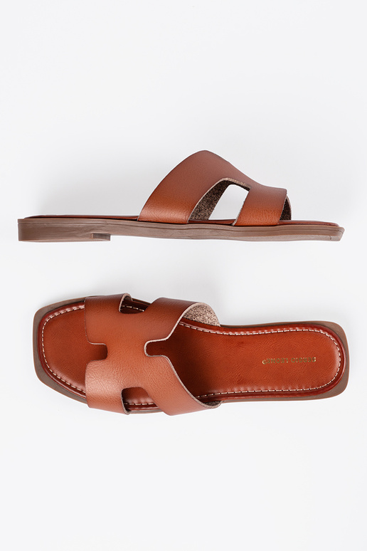 Pruunid sussid ruudukujulise ninaosaga